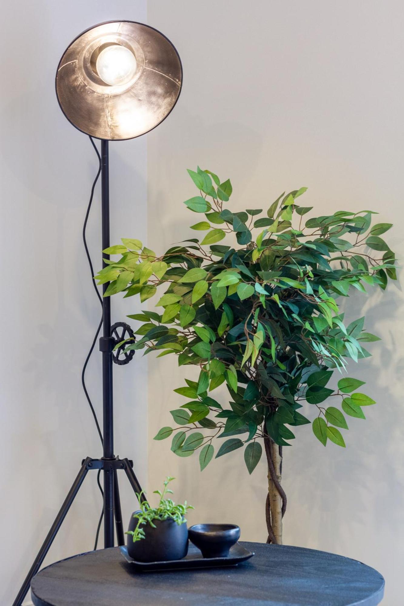Merivale Gem: 2Br Townhouse Oasis Christchurch Buitenkant foto